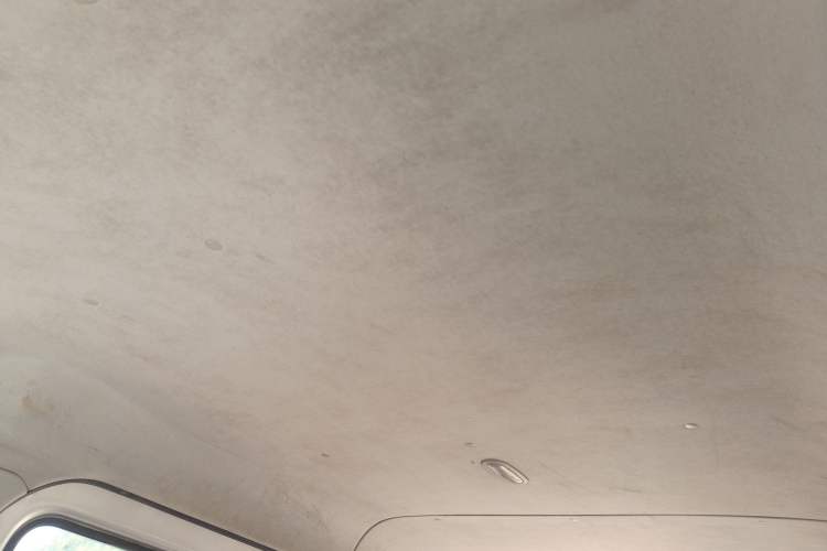 Used JAC Sunray 2013 1.9T 4-Series Star Express Headliner