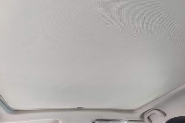 Used JAC Yiwei 3 2023 505km Pro Headliner