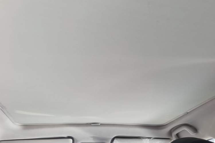 Used JAC Yiwei 3 2023 505km Pro Headliner