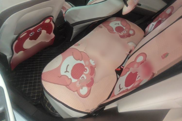 Used JAC Yiwei 3 2023 505km Air Left Rear Seat