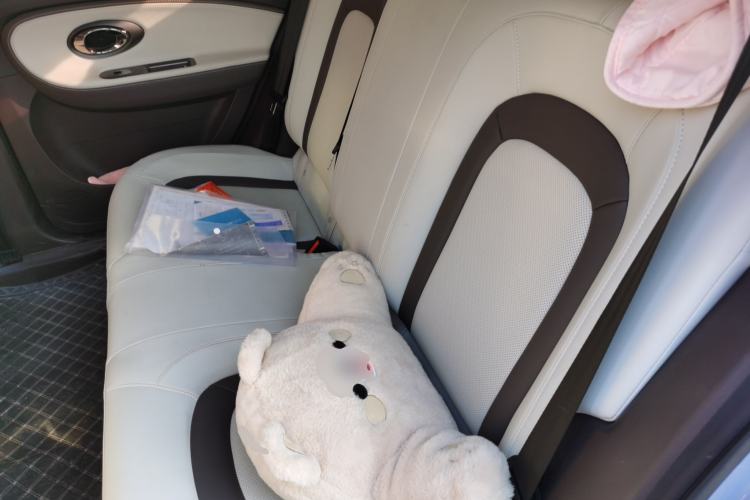 Used JAC Yiwei 3 2023 505 km Championship Edition Left Rear Seat