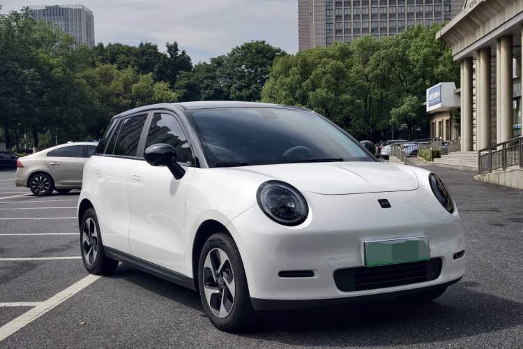 Used JAC Yiwei 3 2023 405km Lite Exterior 2