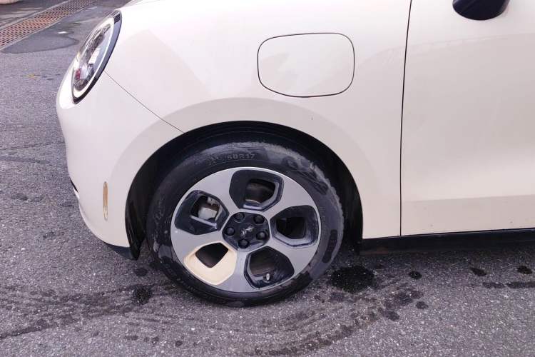 Used JAC Yiwei 3 2023 505km Pro+ Exterior 5