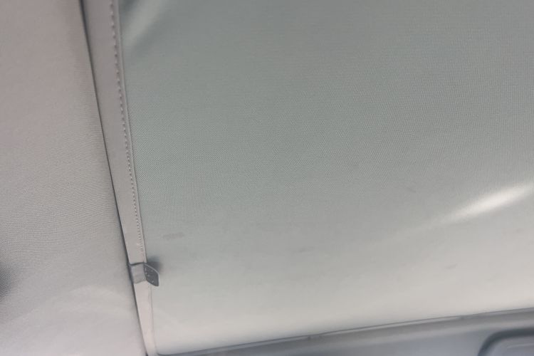 Used JAC Yiwei 3 2023 505km Pro Headliner