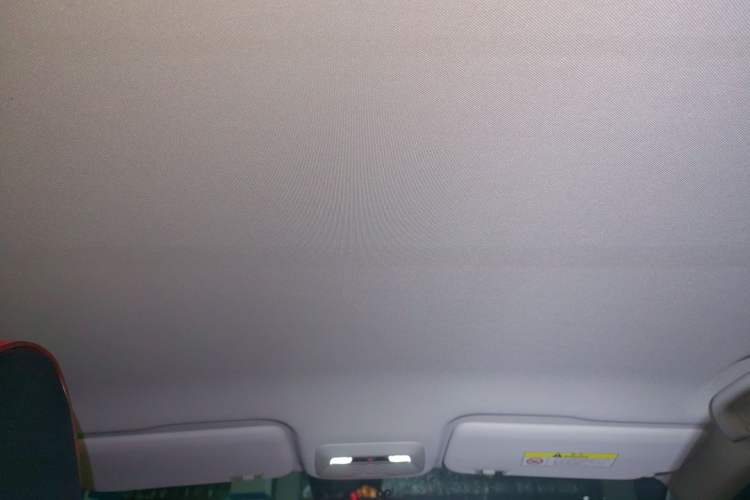 Used JAC Yiwei 3 2023 405km Lite Headliner
