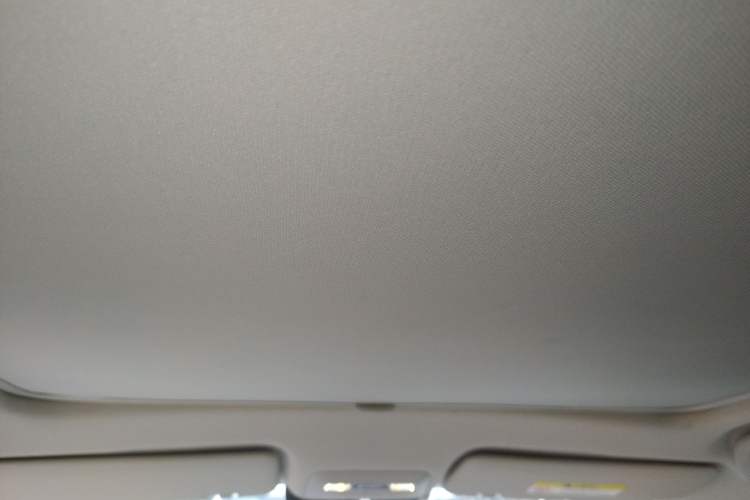 Used JAC Yiwei 3 2023 505km Pro Headliner