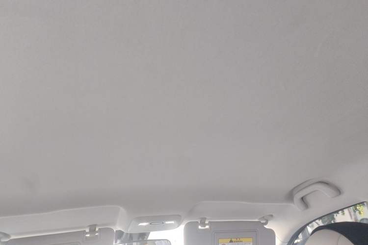 Used JAC Yiwei 3 2023 405km Lite Headliner