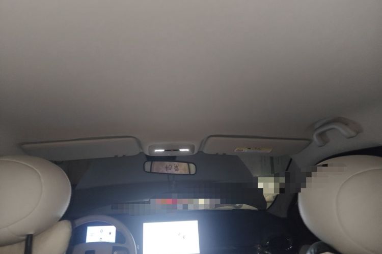 Used JAC Yiwei 3 2023 405km Lite Headliner