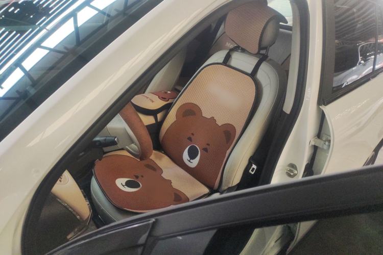 Used JAC Yiwei 3 2023 405km Lite Interior 5