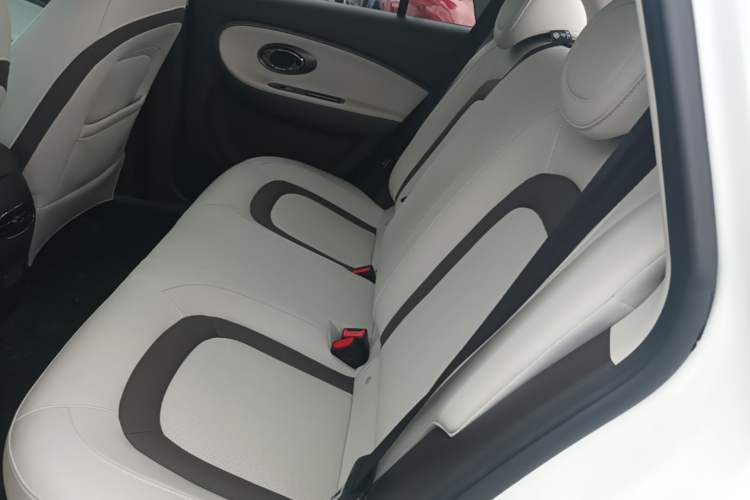 Used JAC Yiwei 3 2023 405km Lite Left Rear Seat