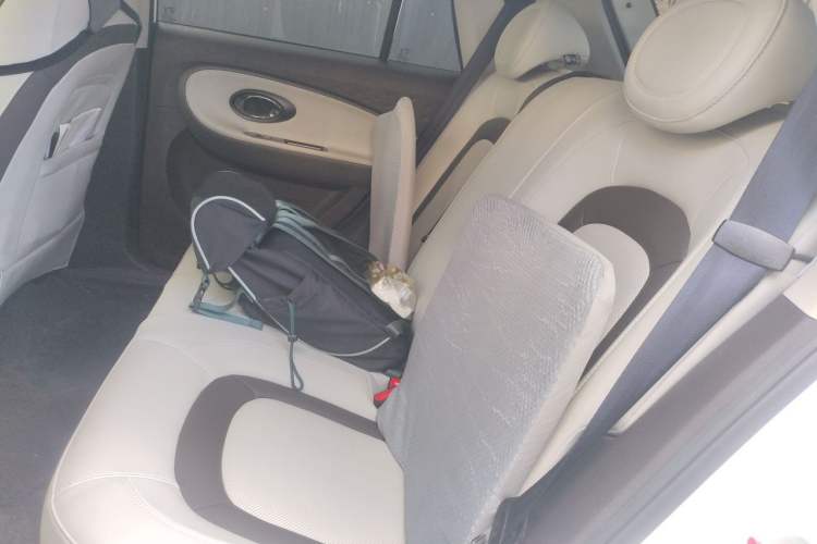 Used JAC Yiwei 3 2023 405km Lite Left Rear Seat