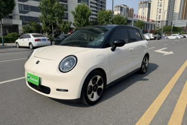 Used JAC Yiwei 3 2023 505km Pro+