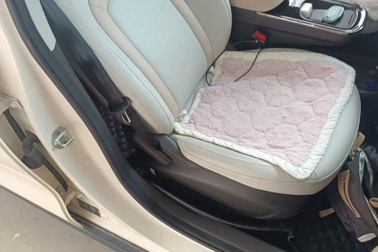 Used JAC Yiwei 3 2023 405km Air Right Front Seat