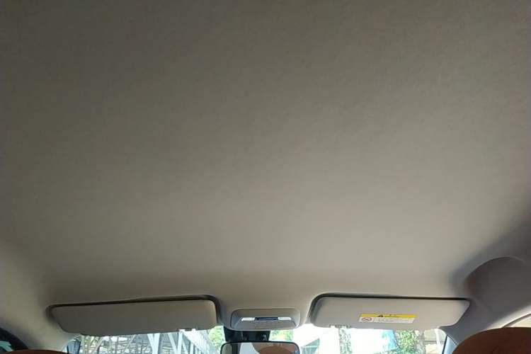 Used JAC Yiwei 3 2024 Beloved Edition 330km Air+ Headliner