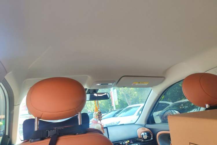 Used JAC Yiwei 3 2024 Beloved Edition 330km Air+ Headliner