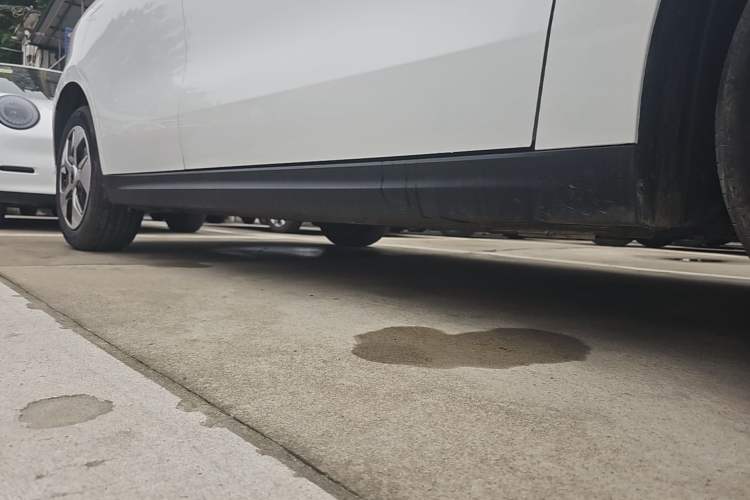 Used JAC Yiwei 3 2024 Zhi'ai Edition 330km Lite Right Side Sill