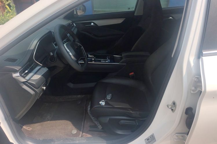 Used JAC Yiwei Aipao 2024 Airo Travel Edition 502 Left Front Seat