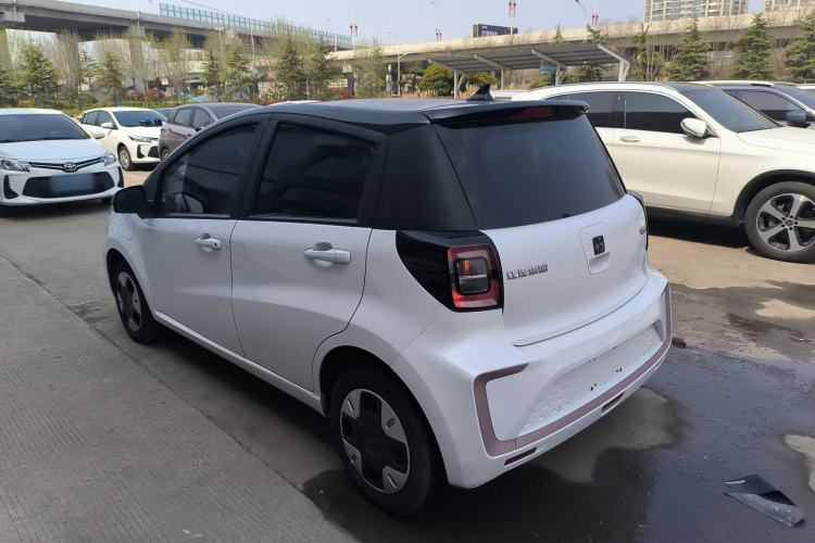 Used JAC Yiwei E10X 2024 Charming Edition 301km Lite Rear Left 45 Deg