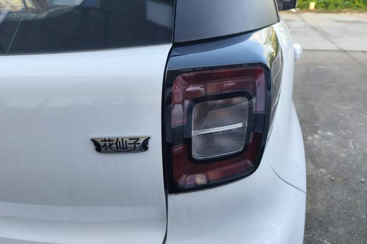 Used JAC Yiwei E10X 2024 Charming Edition 301km Lite Right Rear Taillight