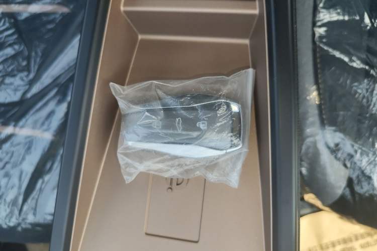 Used JAC Yiwei E10X 2024 Charming Edition 301km Lite Vehicle Key