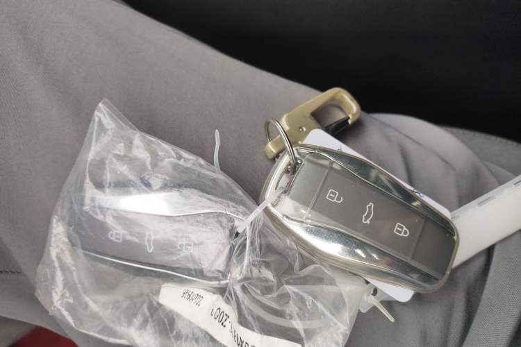 Used JAC Yiwei E10X 2024 Charming Edition 301km Lite Vehicle Key