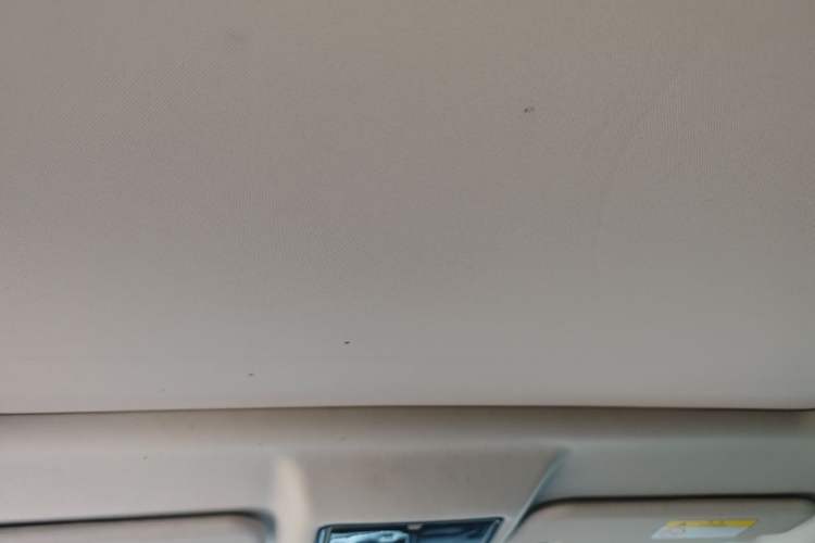 Used Jaguar E-PACE 2018 P250 S China VI Headliner