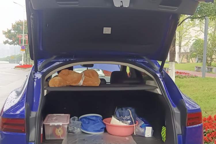 Used Jaguar E-PACE 2018 P250 S China VI Trunk