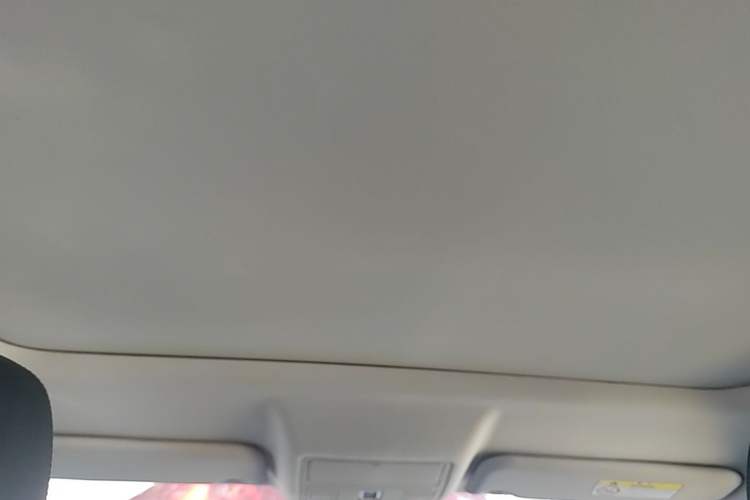 Used Jaguar E-PACE 2018 P200 S China V-standard Headliner