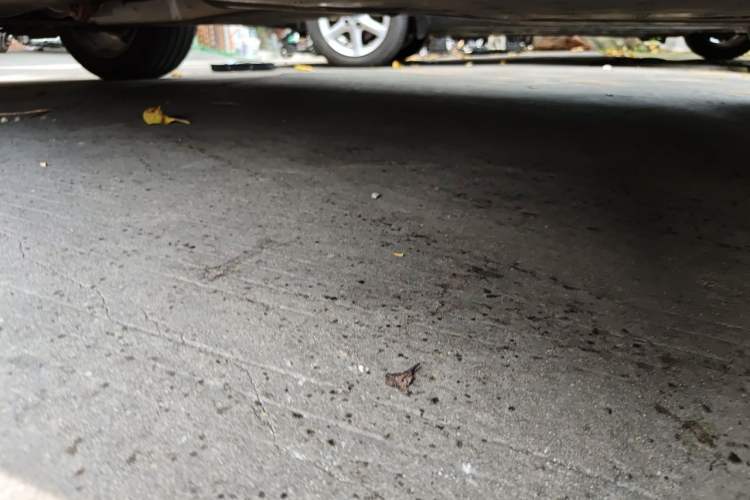 Used Jaguar E-PACE 2018 P250 S China VI Chassis Rear Left