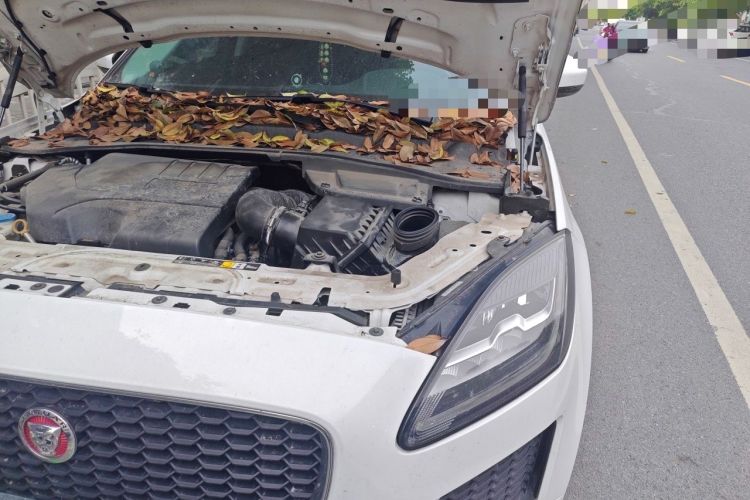 Used Jaguar E-PACE 2018 P200 S China V-standard Engine Bay Left