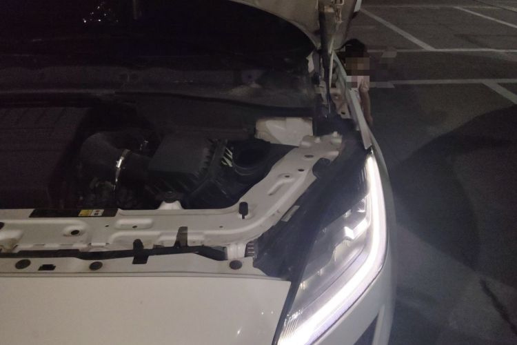 Used Jaguar E-PACE 2018 P200 S China V-standard Engine Bay Left