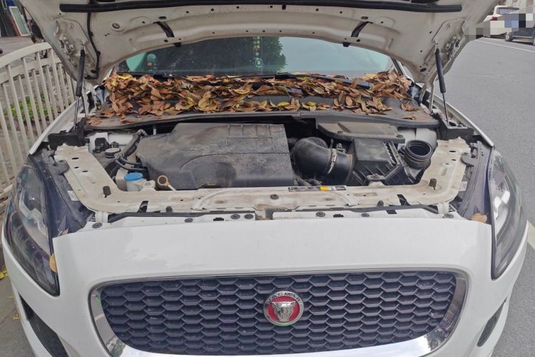 Used Jaguar E-PACE 2018 P200 S China V-standard Engine Bay