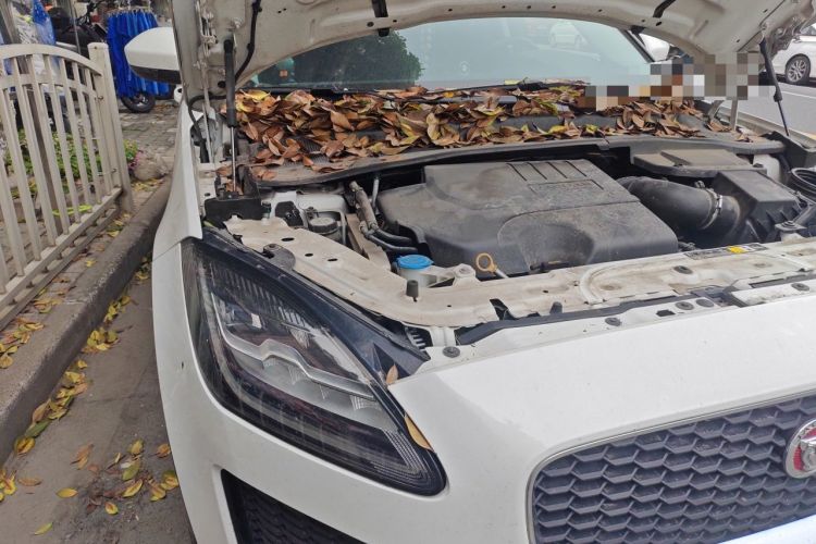 Used Jaguar E-PACE 2018 P200 S China V-standard Engine Bay Right