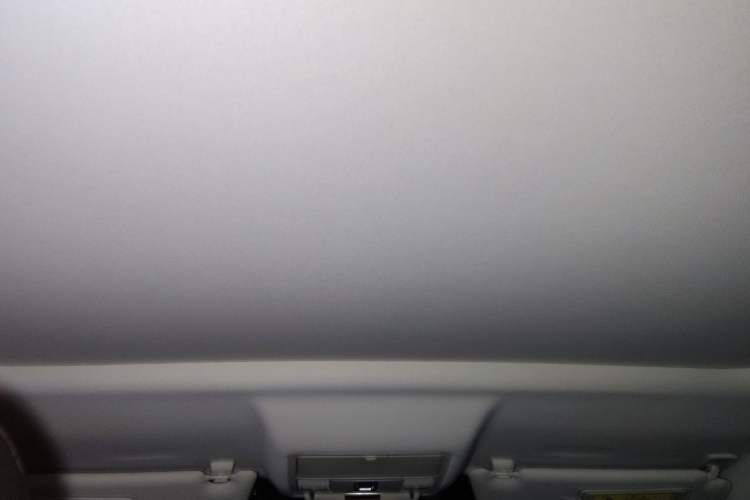 Used Jaguar E-PACE 2018 P200 S China V-standard Headliner