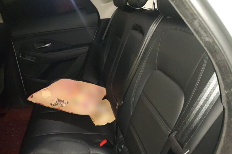 Used Jaguar E-PACE 2018 P200 S China V-standard Left Rear Seat