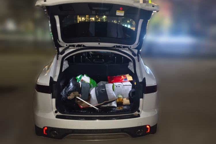 Used Jaguar E-PACE 2018 P250 SE China VI Trunk