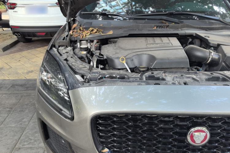 Used Jaguar E-PACE 2024 YAO Black Sport Edition R-DYNAMIC SE BLACK Engine Bay Right
