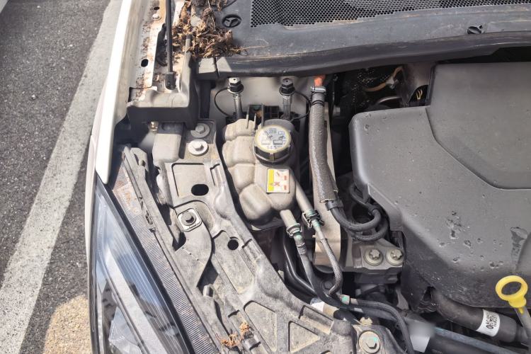 Used Jaguar E-PACE 2024 YAO Black Sport Edition R-DYNAMIC SE BLACK Engine Bay Right