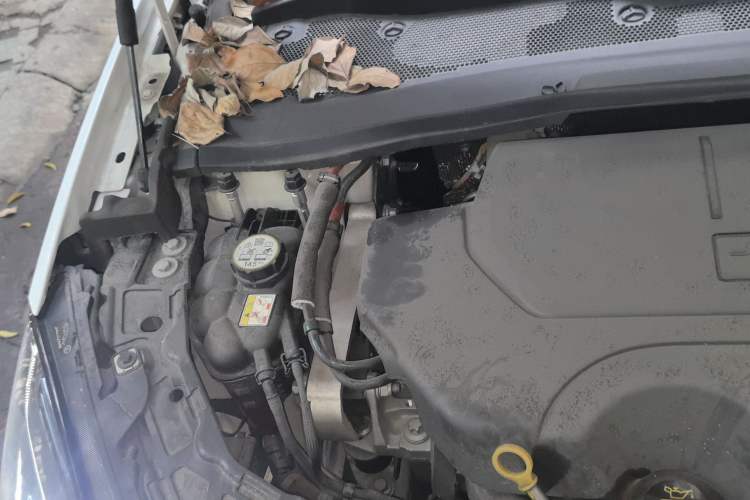 Used Jaguar E-PACE 2024 YAO Black Sport Edition R-DYNAMIC SE BLACK Engine Bay Right