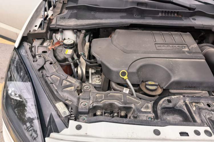 Used Jaguar E-PACE 2024 YAO Black Sport Edition R-DYNAMIC SE BLACK Engine Bay Right