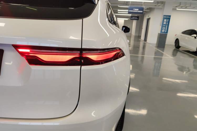 Used Jaguar F-PACE 2024 P250 R-Dynamic SE Right Rear Taillight
