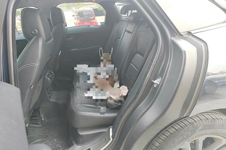 Used Jaguar F-PACE  Left Rear Seat