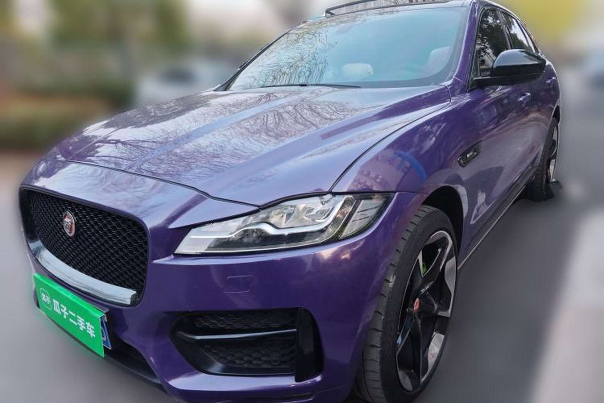 Used Jaguar F-PACE 2016 3.0 SC Four-Wheel Drive R-Sport Sport Edition Front Left 45 Deg