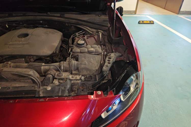 Used Jaguar F-PACE 2016 2.0T Two-Wheel-Drive R-Sport Sport Edition Engine Bay Left