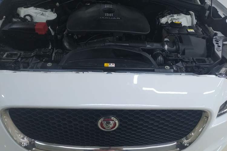 Used Jaguar F-PACE 2016 2.0T Two-Wheel Drive Urban Luxury Edition Engine Bay