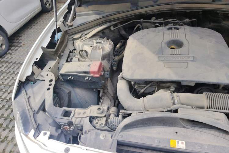 Used Jaguar F-PACE 2016 2.0T Two-Wheel-Drive R-Sport Sport Edition Engine Bay Right