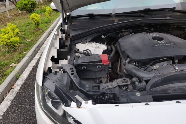 Used Jaguar F-PACE 2016 2.0T Two-Wheel Drive Urban Luxury Edition Engine Bay Right