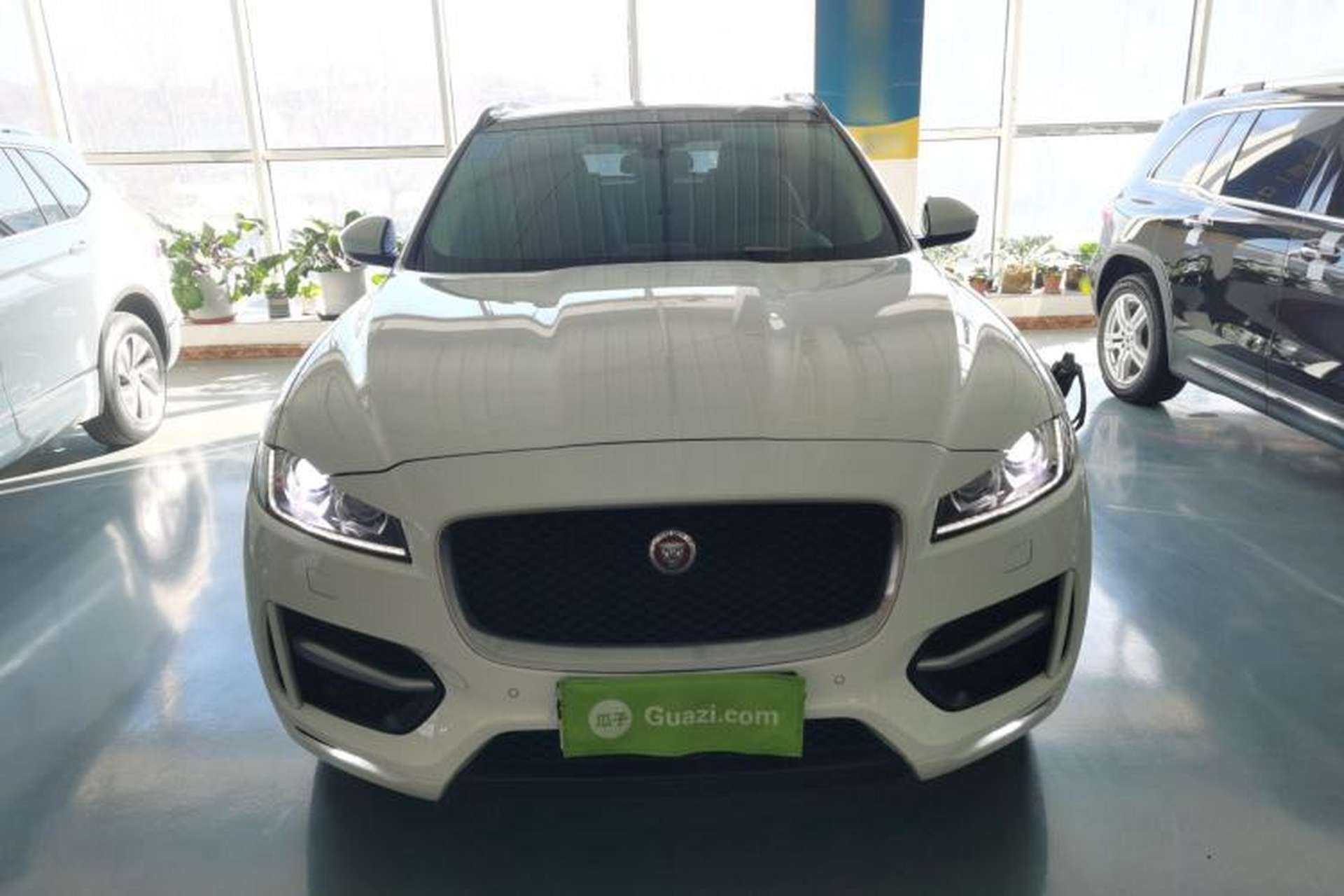 Used Jaguar F-PACE 2016 3.0 SC Four-Wheel Drive R-Sport Sport Edition Exterior 1