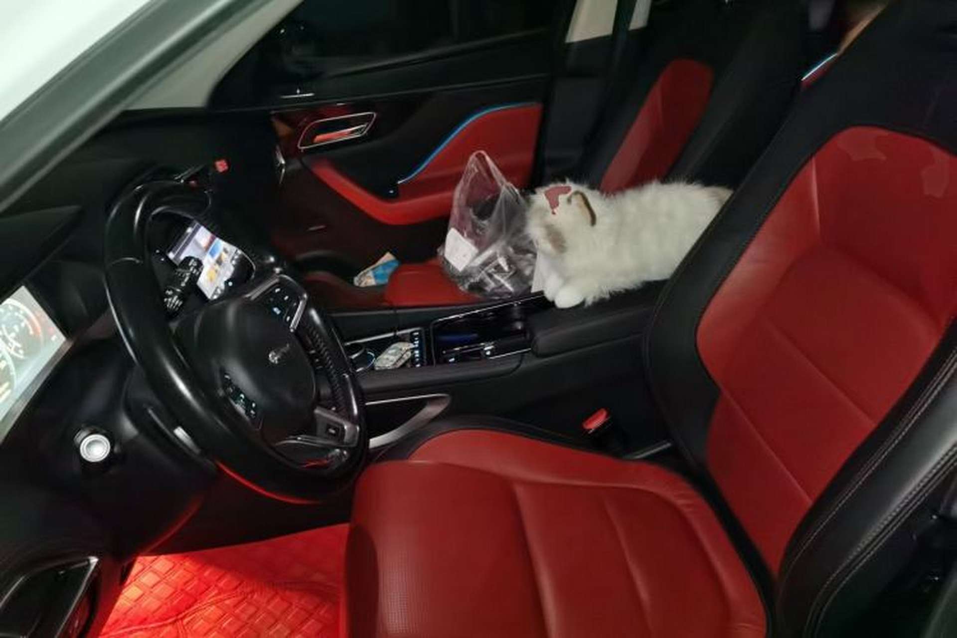 Used Jaguar F-PACE 2016 2.0T Two-Wheel-Drive R-Sport Sport Edition Left Front Seat