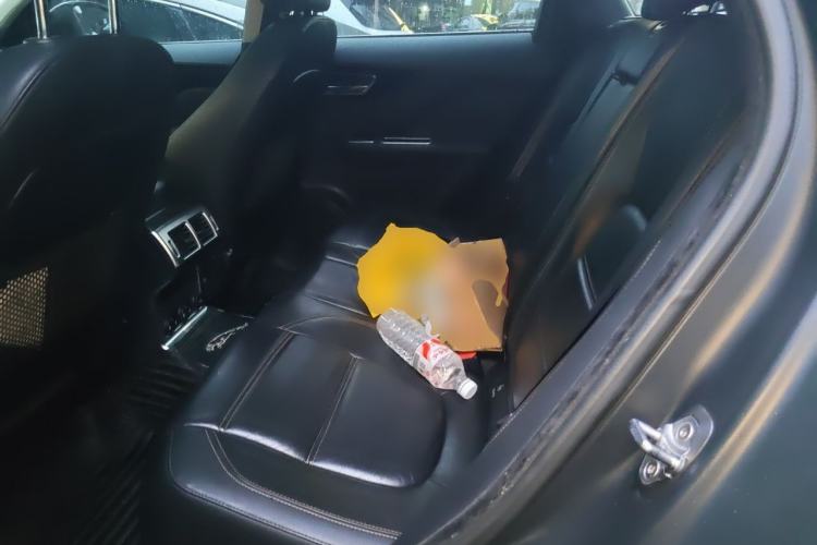 Used Jaguar F-PACE 2016 2.0T Two-Wheel Drive Urban Luxury Edition Left Rear Seat